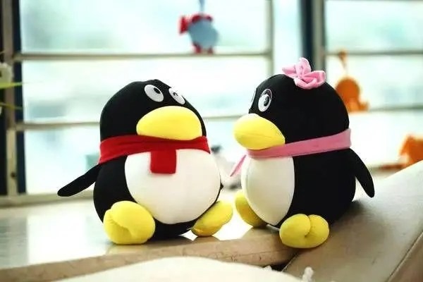 在头条买手机号可靠吗？